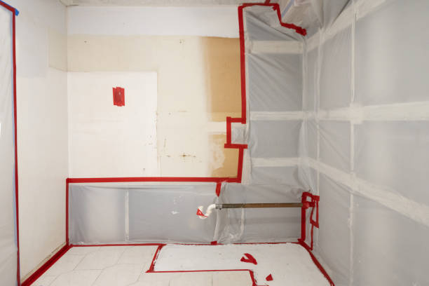 Best Mold-Related Health Consultation  in Pine Island, TX